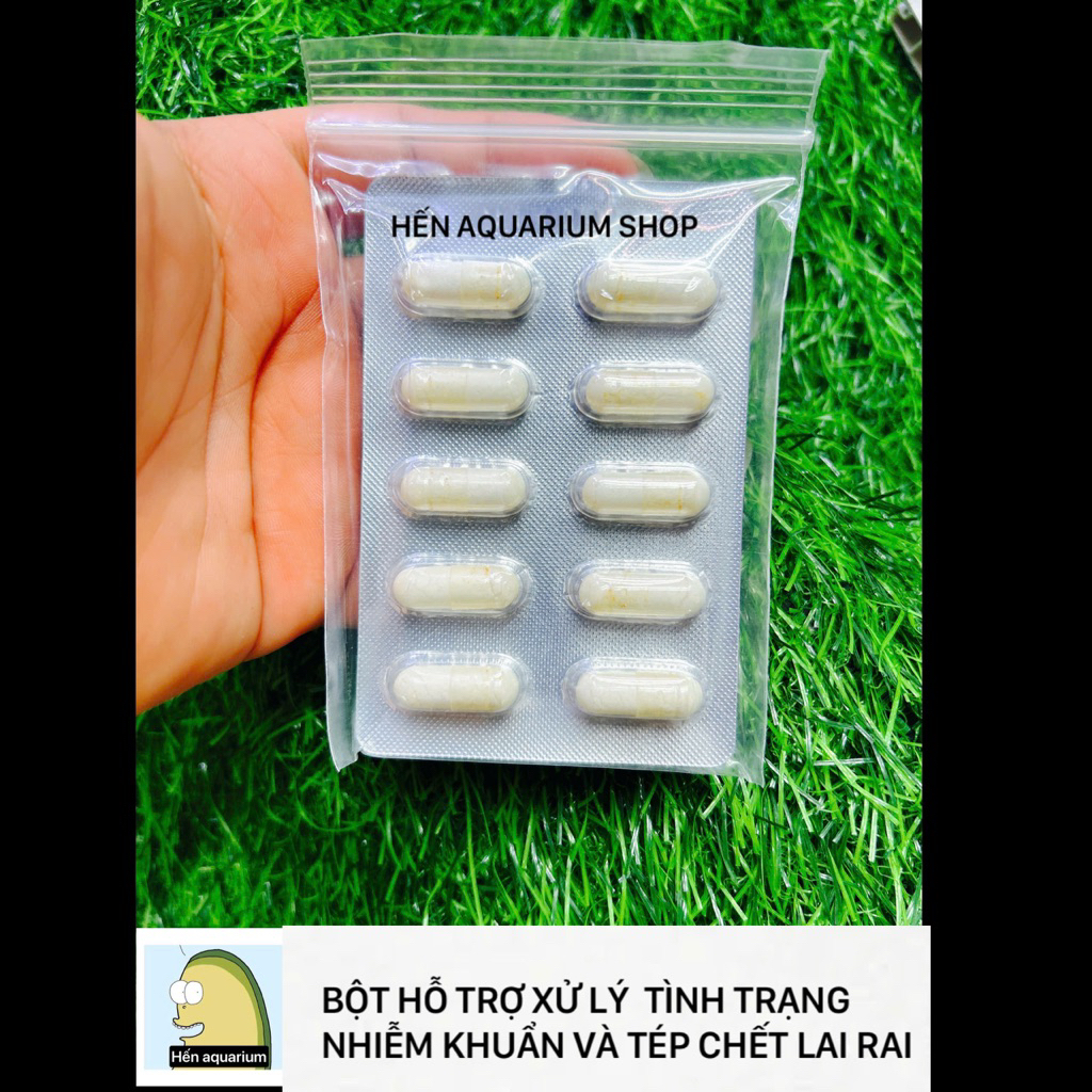 Bột Aquarium 1 hỗ trợ xử lý tép cảnh bị khuẩn / lờ đờ / đứt lai rai không rõ nguyên nhân