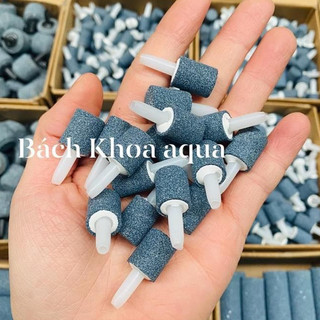 Quả sủi siêu nhỏ - tạo dòng khí nhỏ