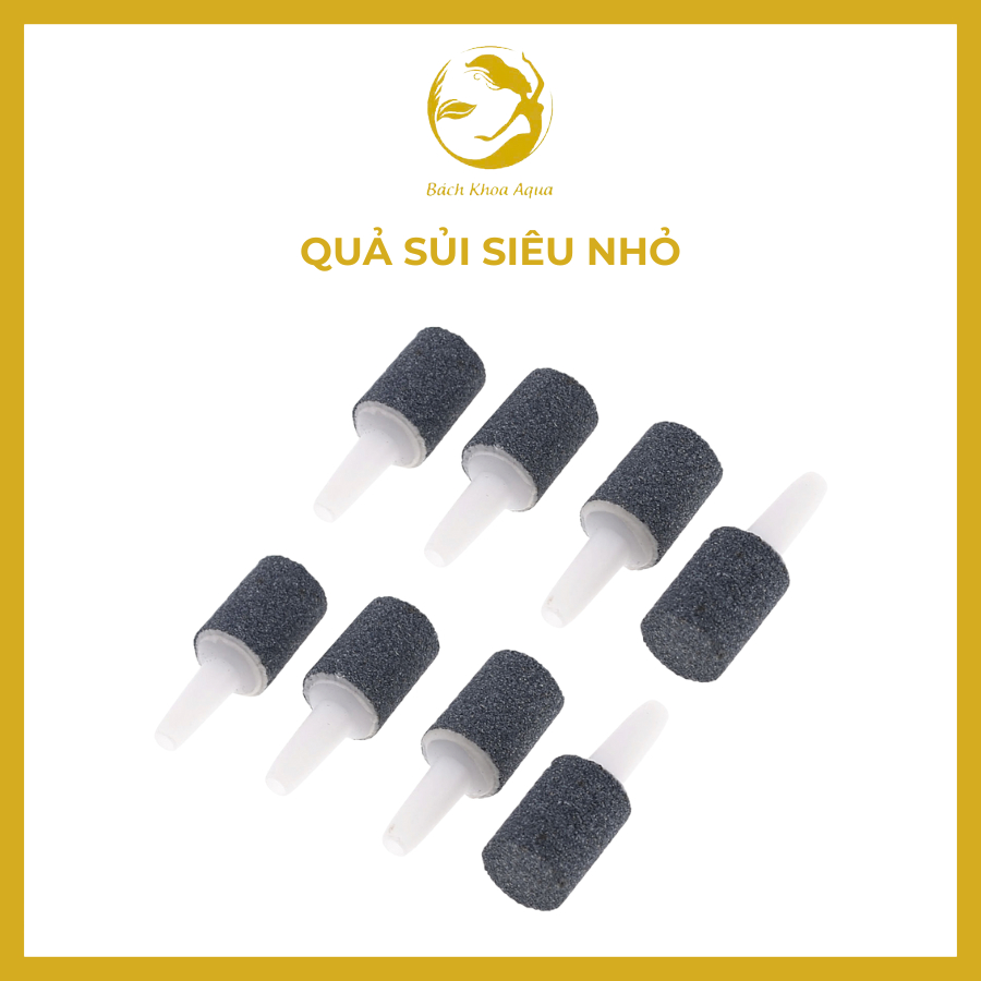Quả sủi siêu nhỏ - tạo dòng khí nhỏ