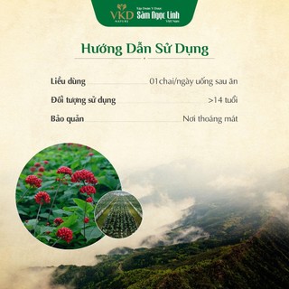 Nước cốt Sâm Ngọc Linh VKD