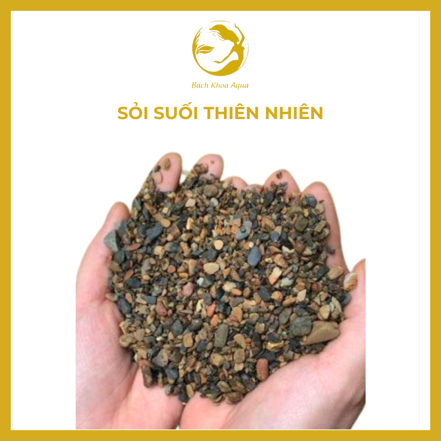 Sỏi suối thiên nhiên trải nền bể cá