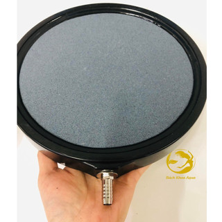 Đĩa sủi Oxy cho bể cá kích thước 10cm - 20cm