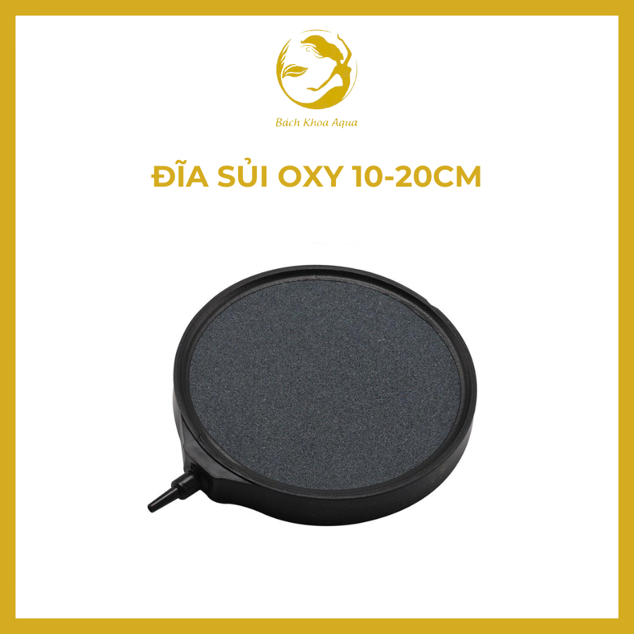 Đĩa sủi Oxy cho bể cá kích thước 10cm - 20cm