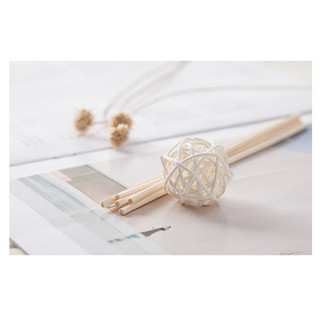 Lọ Tinh Dầu Khuếch Tán Que Leviter