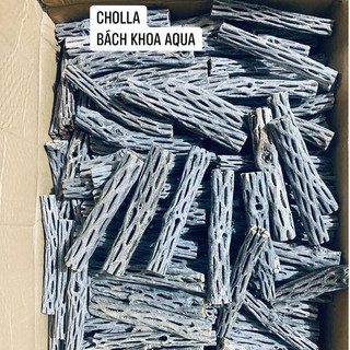 Lũa Cholla trang trí bể cá, tạo hang trú ẩn cho tép - Nhiều kích thước lựa chọn, phù hợp nhiều size bể thủy sinh