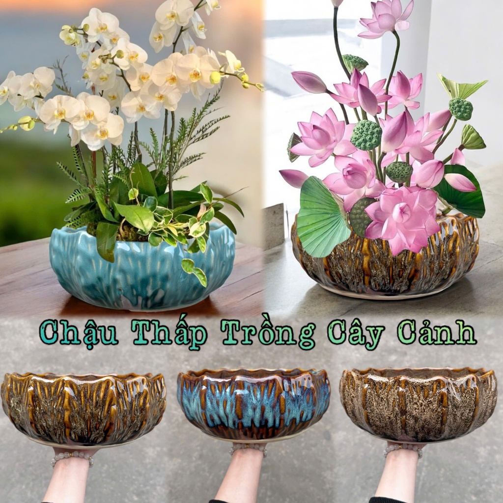 Chậu thấp trồng cây cảnh, trồng lan, trồng sen nước. Mã: Xương Rồng Thấp
