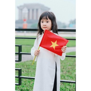 Cờ Vẫy Tay Que Nhựa