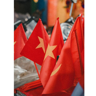 Cờ Vẫy Tay Que Nhựa