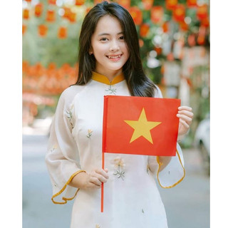 Cờ Vẫy Tay Que Nhựa