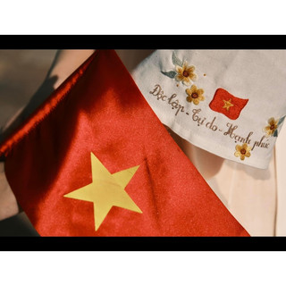 Cờ Vẫy Tay Que Nhựa