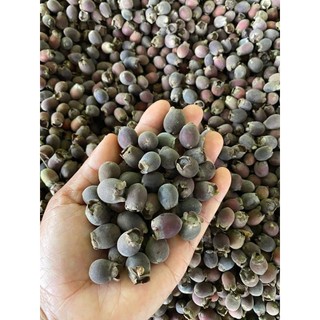 Rượu sim rừng Tươi 1L