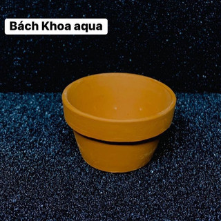 Cốc gốm đủ size trồng cây cảnh cho bể cá