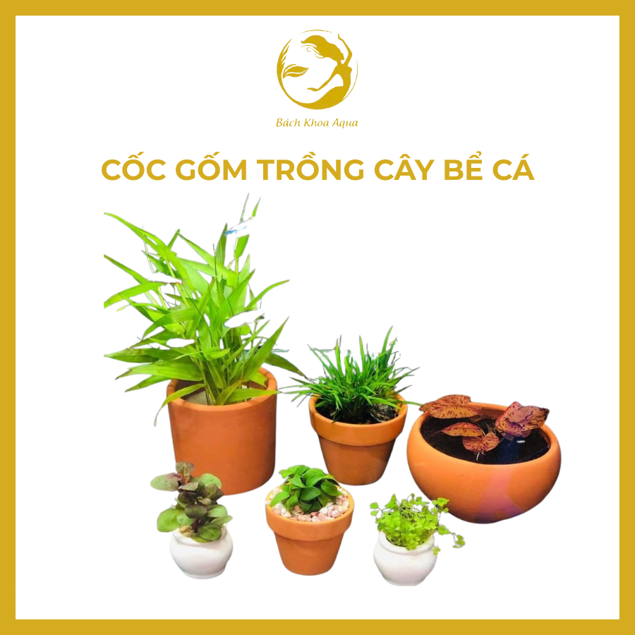 Cốc gốm đủ size trồng cây cảnh cho bể cá