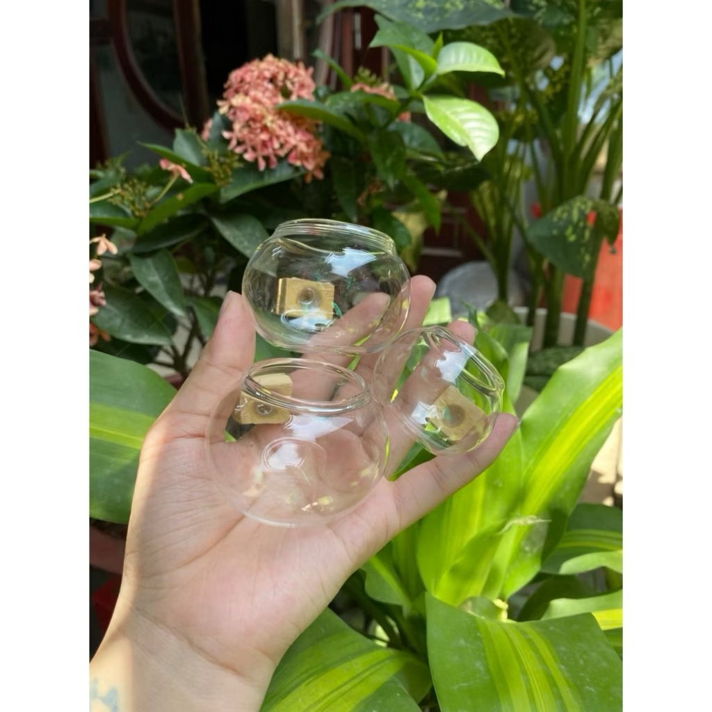 Cóng thủy tinh chào mào cóng thủy tinh cho chim 1 bộ 3 món tai tre triện