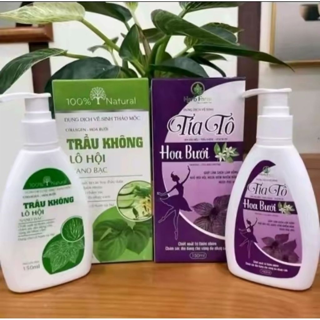 ( Combo 2 Chai ) Dung Dịch Vs Tía Tô Hoa Bưởi vs Trầu Không Lô Hội 150ml Hỗ Trợ làm Sạch Ngăn Ngừa V
