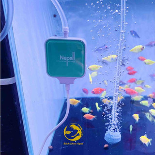Máy sủi mini Nepall siêu êm cho bể cá - Full set đồ (tặng quả sủi, dây sủi)