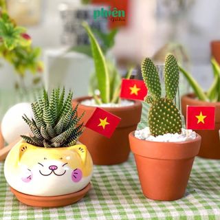 Tag Gỗ Trang Trí Cây Mini, bảng tên gỗ cắm cây, Tag Lá Cờ Đỏ Sao Vàng Trang Trí Chậu Cây