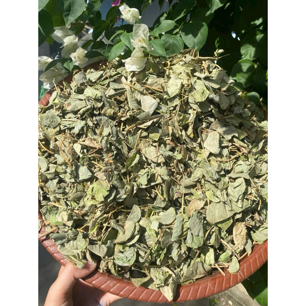 1kg Kim tiền thảo (xanh, sạch, mới) -dltd