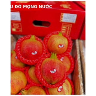 ( HOẢ TỐC HCM ) 1 thùng lựu  SIZE  8 trái thích hợp làm quà tặng