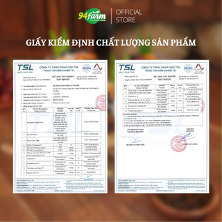 [1 set 500g] Sâm bổ lượng 94farm 15-20 chén