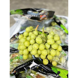[ HỎA TỐC ] NHO XANH MỸ DÒN NGỌT 1KG