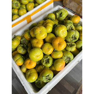 Hồng giòn Fuji - Đặc Sản Mộc Châu