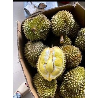 [ Nguyên trái] Sầu riêng Thái, nguyên trái, ship xa
