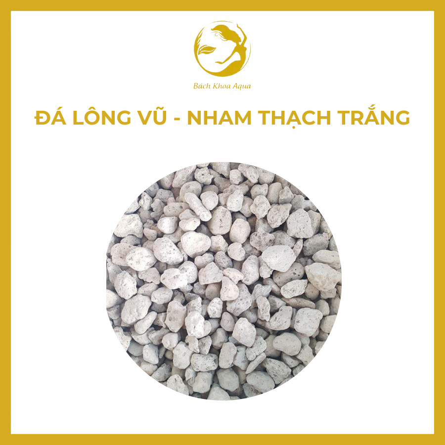 Đá lông vũ nham thạch trắng 1kg – lọc nước, làm sạch bể cá cảnh