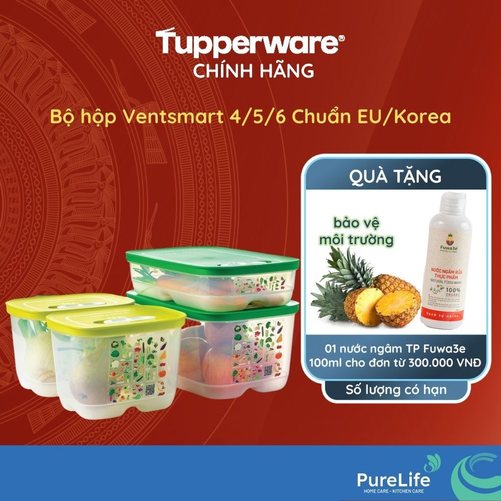 bộ Hộp chuyên trữ rau củ quả  Ventsmart Tupperware .Bảo quản rau , củ , quả tươi xanh từ 7-20 ngày