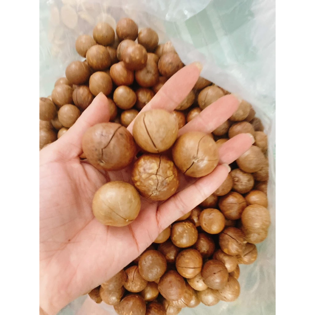 [Hỏa tốc] 1Kg Hạt Macca Nguyên Vị Nứt Vỏ Dễ Tách - Hạt Macca giàu dinh dưỡng