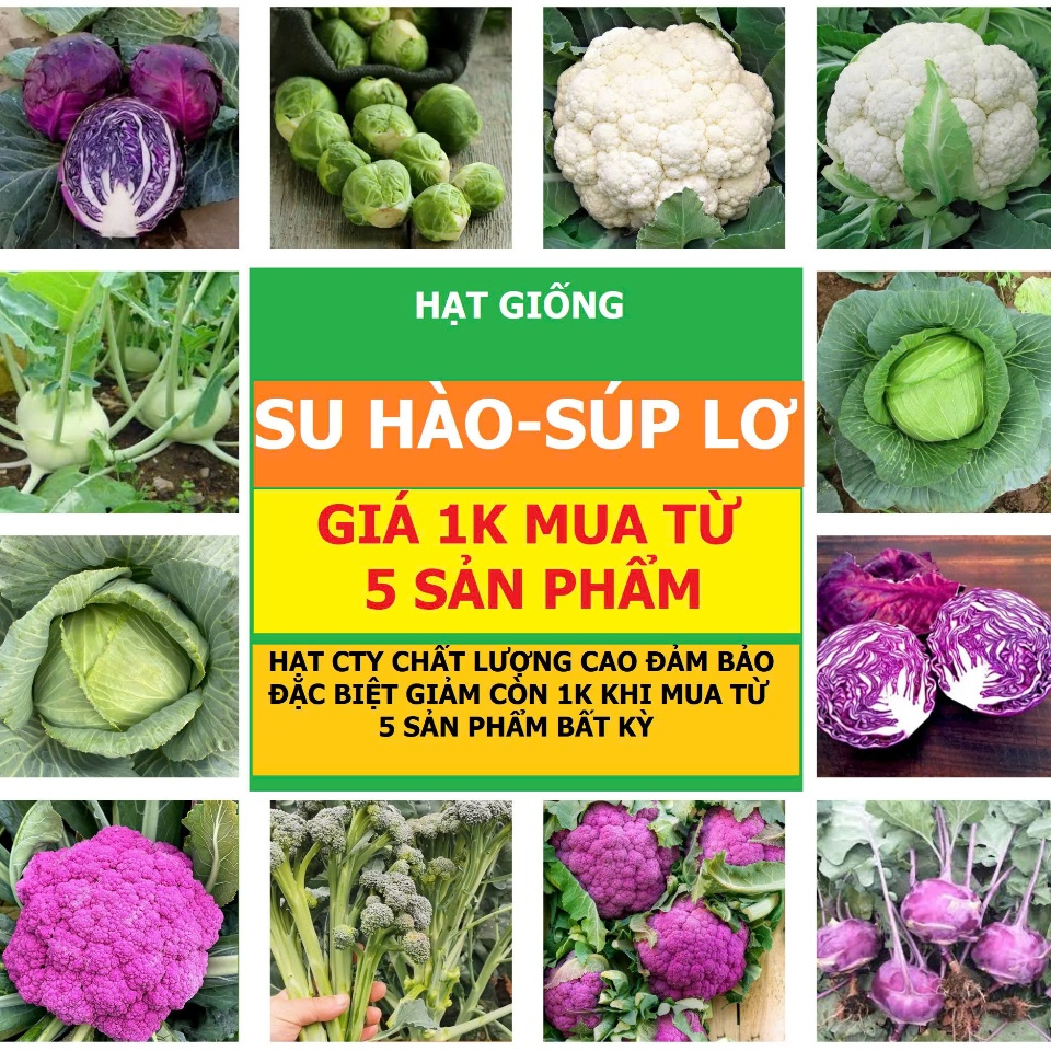 COMBO HẠT GIỐNG CÀ RỐT – CỦ CẢI – SU HÀO-CỦ CẢI,SÚP LƠ DỄ TRỒNG túi zíp