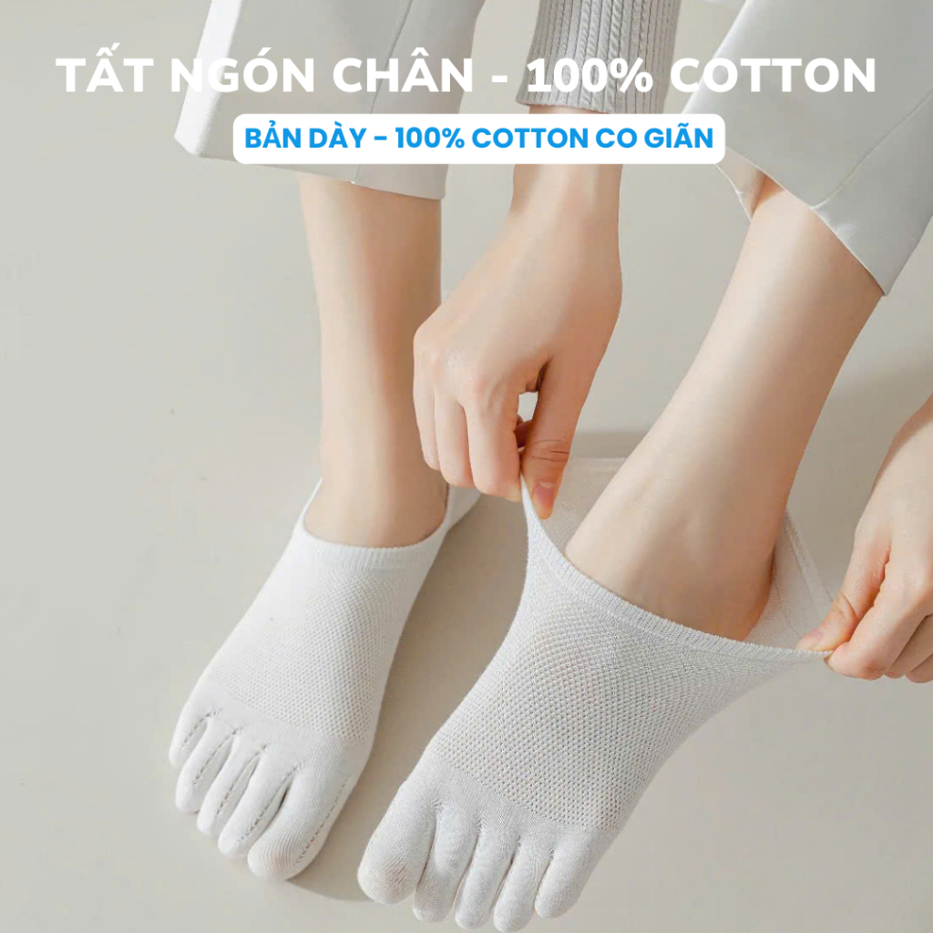 [ 100% COTTON SIÊU THẤM HÚT ] Tất ngón chân, tất lười siêu thấm hút, tất lười thoáng khí 100% cotton