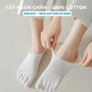    100% COTTON SIÊU THẤM HÚT   Tất ngón chân tất lười siêu thấm hút tất lười thoáng khí 100% cotton co giãn tốt - latla 