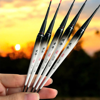  Phao Câu Cá Hắc Bạch Phao Điện Câu Đêm Cảm Biến Đổi Màu Chuyên Cá Rô Chép Siêu Nhạy 