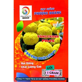  Hoa Vạn Thọ Thái Lùn PH45 Vàng Chanh Hạt Giống Phượng Hoàng 