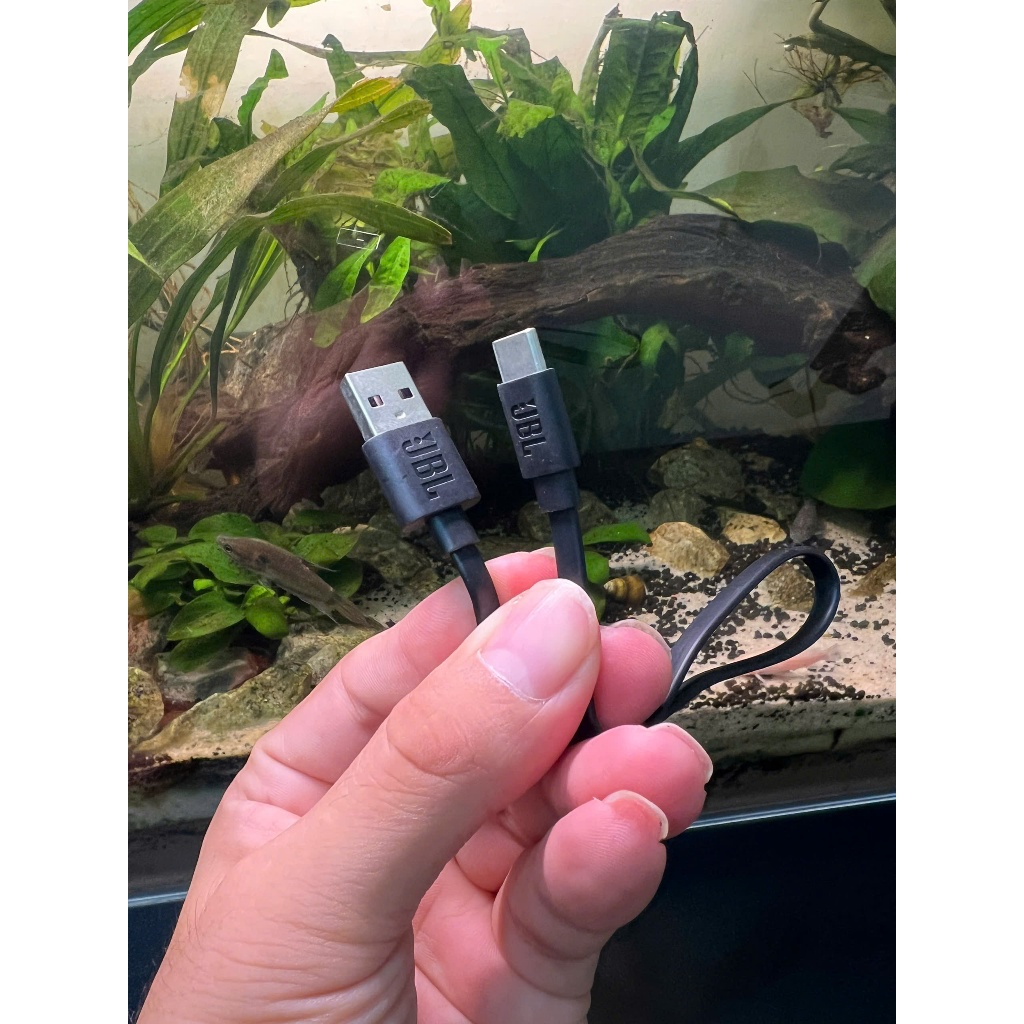 🔌 Dây cáp sạc JBL– Type-C dài 25cm