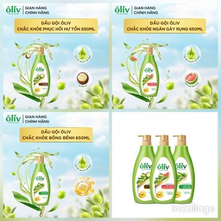  DẦU GỘI OLIV CHẮC KHỎE - BỒNG BỀNH - NGĂN GÃY RỤNG - PHỤC HỒI HƯ TỔN 650ML 