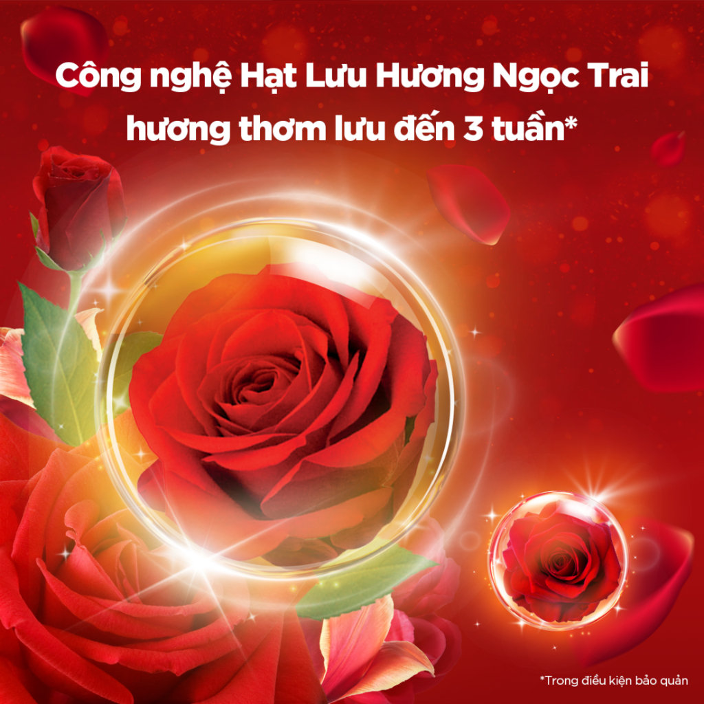 [DOWNY] Combo 2 Nước Xả DOWNY Đam Mê Túi 1L