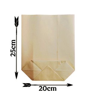 [20x25] 100 Túi giấy Kraft kích cỡ 20cm x 25cm
