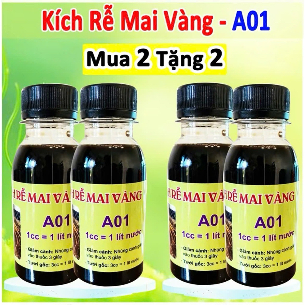 kích rễ cực mạnh A01