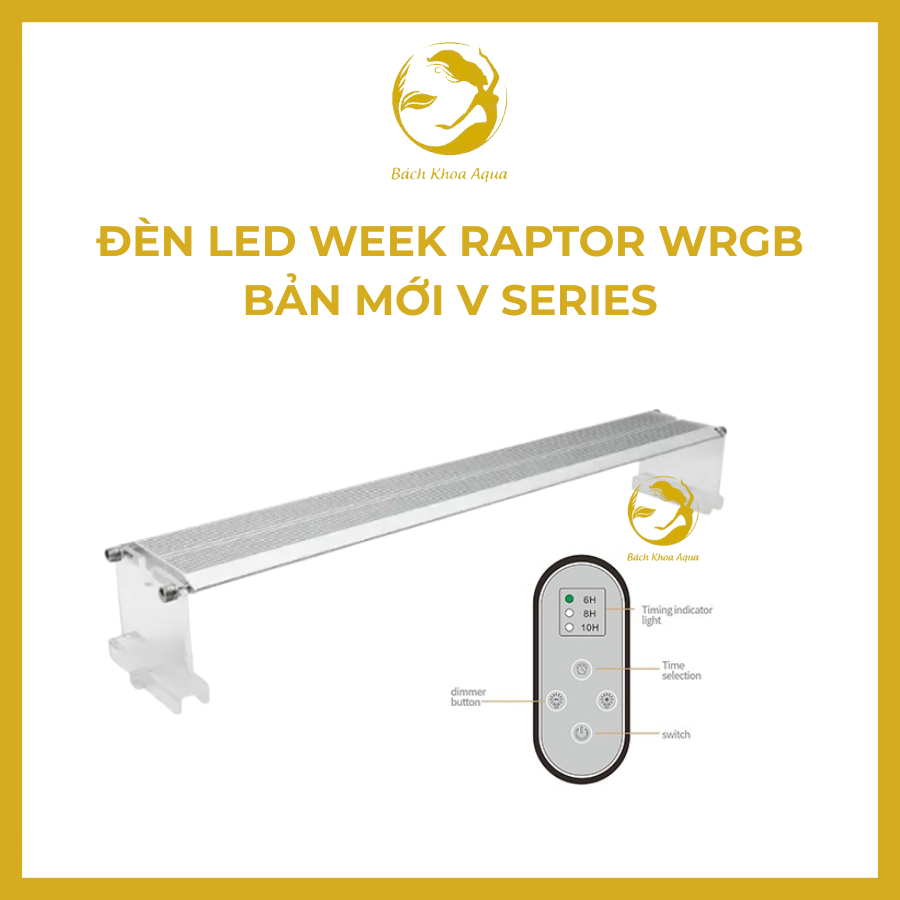 Đèn Led Week Rapter WRGB V Series V300/450/600/900/1200 - bản mới cho bể cá cảnh, thủy sinh