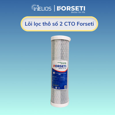 Lõi lọc nước số 2 Forseti - Than hoạt tính dạng nén dùng cho cốc lọc 10 inch - Hàng chính hãng