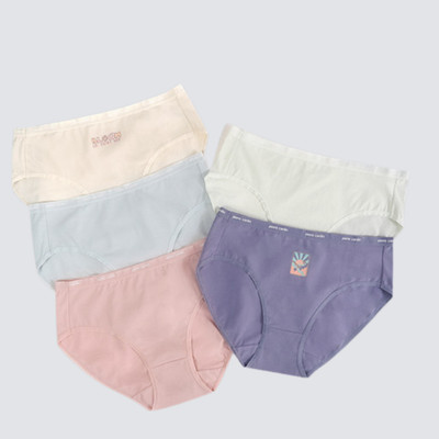 (XẢ KHO) Combo 5 quần lót nữ hiệu 505-7546, cotton lưng cao vừa, dáng Midi,