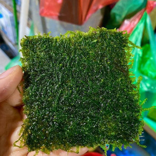Rêu Xmas cho bể thủy sinh