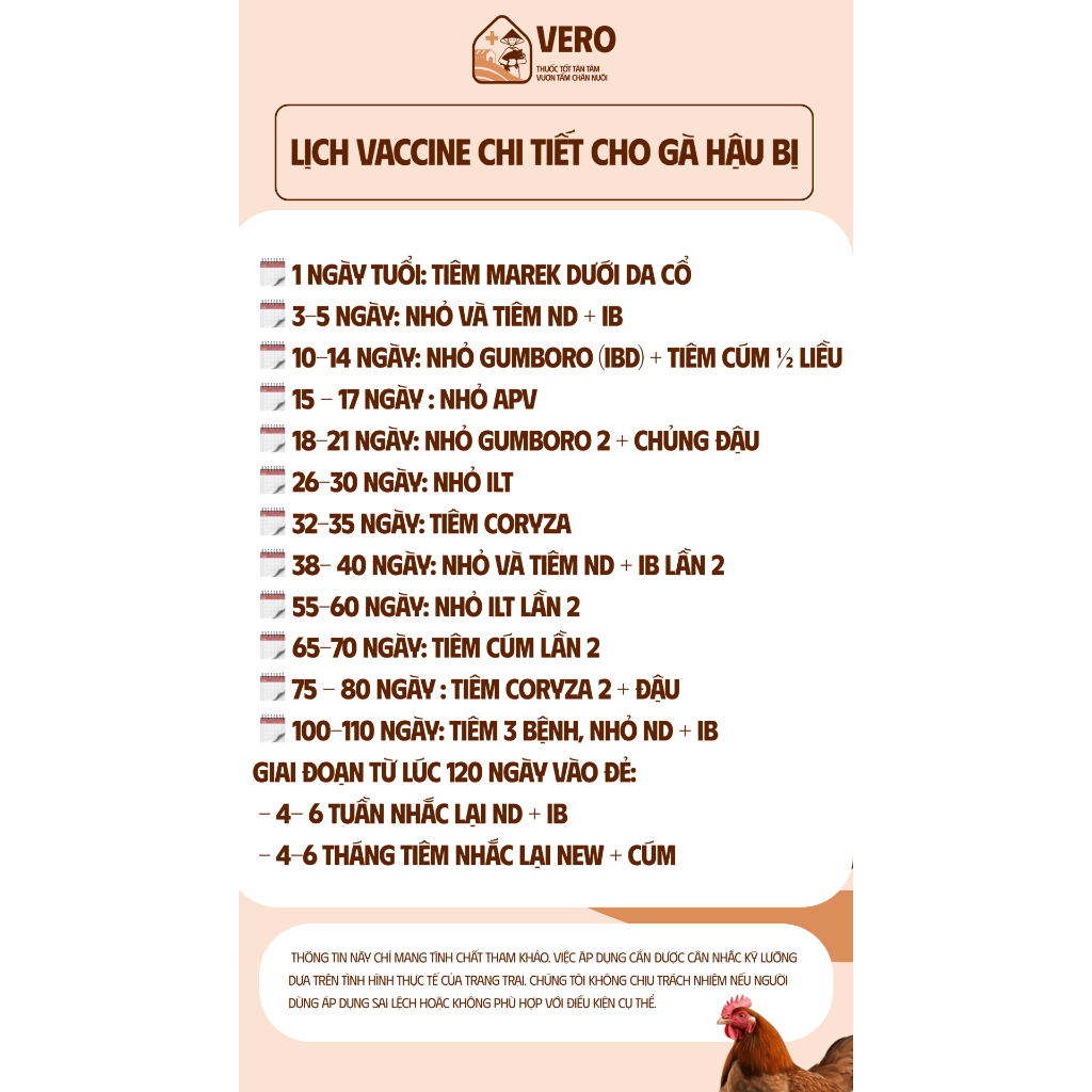 [Quà Tặng] Vỗ Béo VERO Quyển Lịch Tiêm Vacxin Cho Gà Hậu Bị - Lịch Vaccine Chi Tiết Dành Cho Người Chăn Nuôi Giúp Theo D