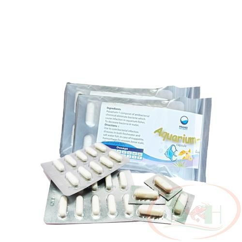 Bột xử lý cá tép chết lai rai Pranee Aquarium 1 viên ức chế diệt sát khuẩn nấm bể cá tép cảnh