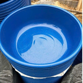 CHẬU NHỰA CHUYÊN DÙNG ĐỂ NUÔI ĐUÔNG DỪA SIZE 46CM,KÈM NẮP KHOAN SẴN, VỀ CHĂN NUÔI, NUÔI ĐUÔNG, Ủ CƠM KÈM NẮP-2024