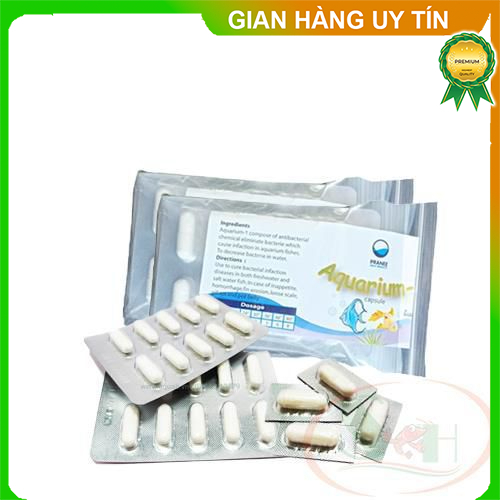 Bột xử lý cá tép chết lai rai Pranee Aquarium 1 viên ức chế diệt sát khuẩn nấm bể cá tép cảnh store2