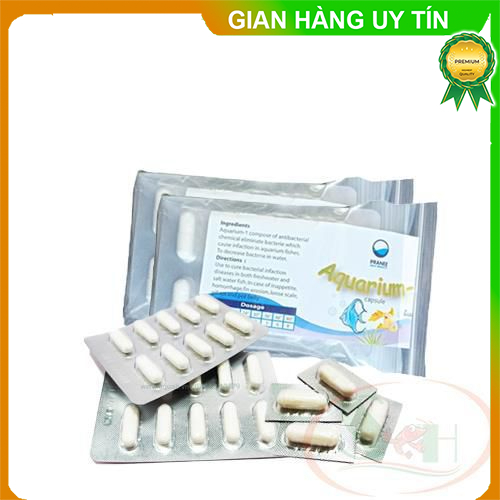 Bột xử lý cá tép chết lai rai Pranee Aquarium 1 viên ức chế diệt sát khuẩn nấm bể cá tép cảnh store3