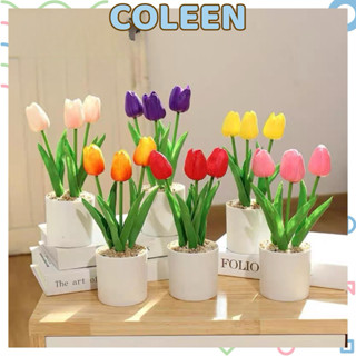  Chậu Hoa Tulip Giả Có Chất Liệu Bền Bỉ Để Trang Trí đám Cưới Và Tạo Kiểu Nhà COLEEN 